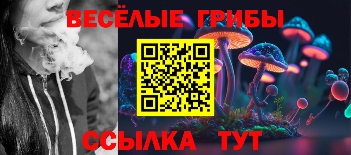 Галлюциногенные грибы ЛСД  Псилоцибиновые грибы Psilocybe  Петропавловск-Камчатский  Вход с VPN 