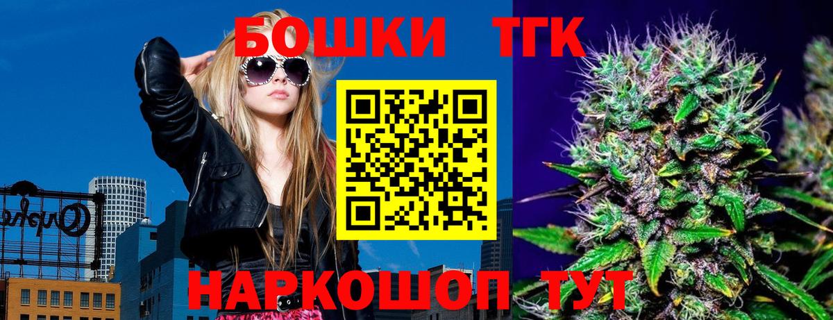 A-PVP Петропавловск-Камчатский